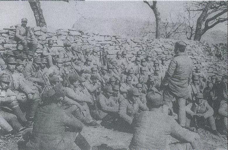 解放軍在進攻嶧縣城的戰斗打響之前進行戰前動員.jpg