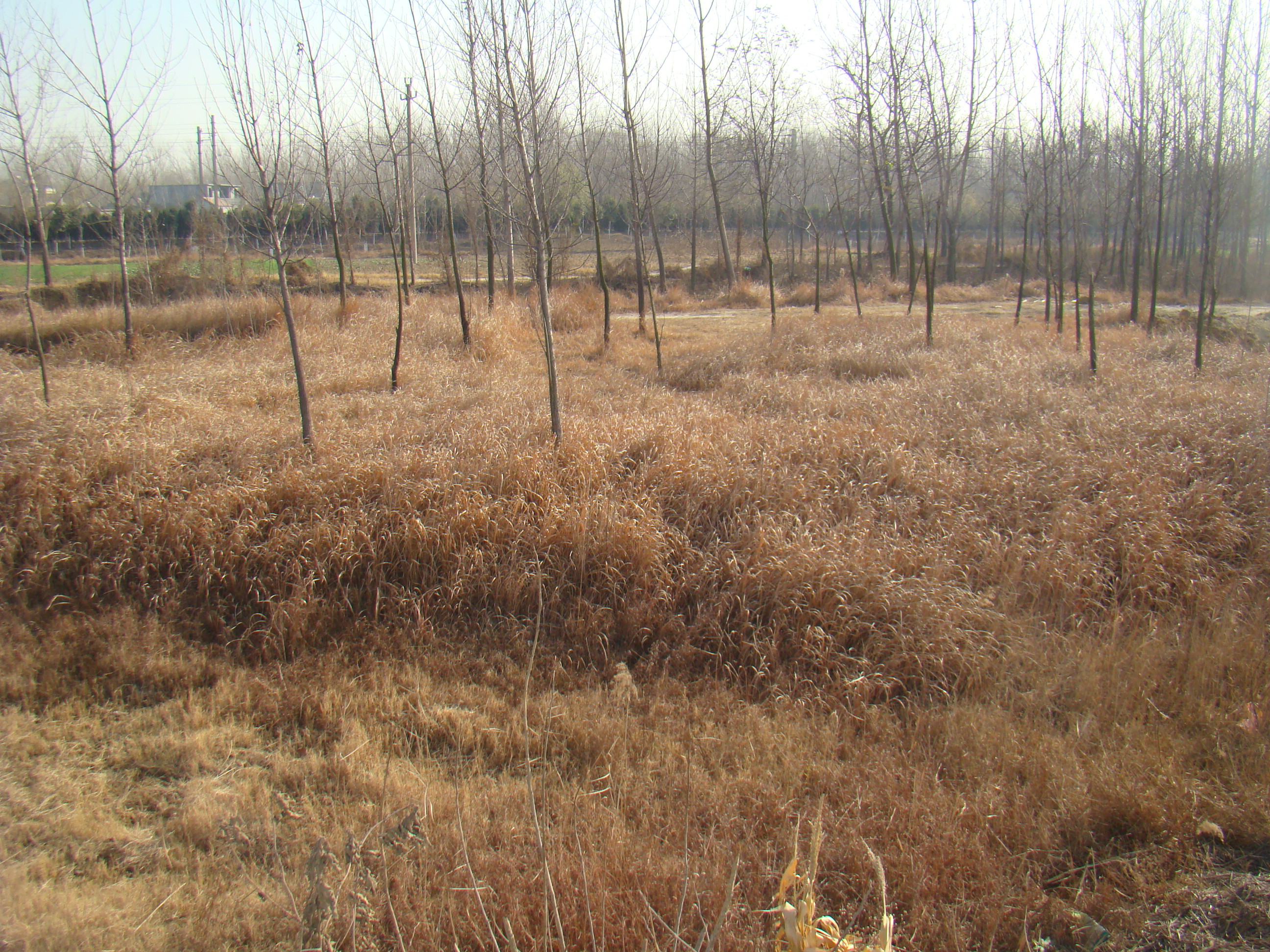 01原姬莊鐵道上碉堡遺跡 拍攝:李自發(fā) 拍攝時間:2010年12月5日.JPG